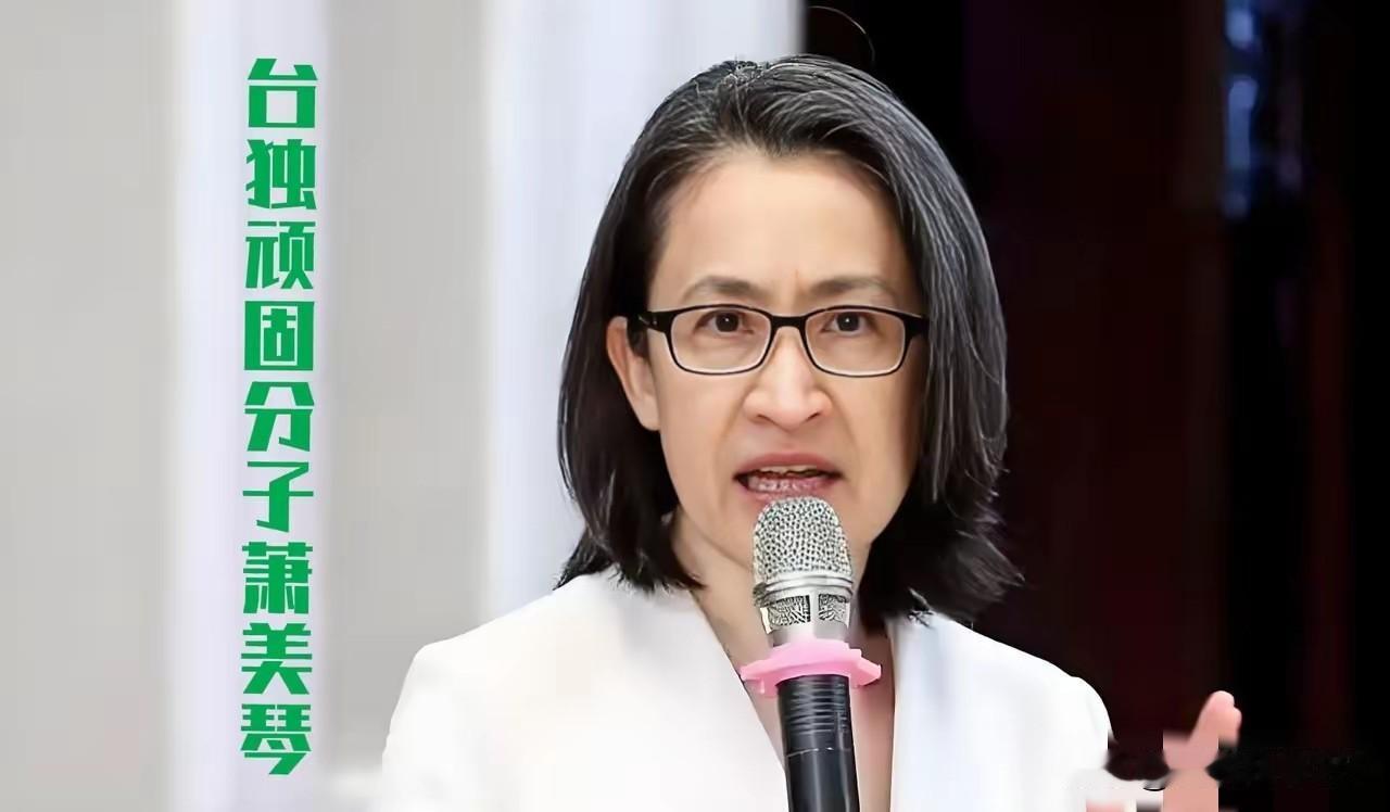 提前对萧美琴进行全球通缉！
​​台湾地区副领导人萧美琴近日赴欧洲议会发表所谓演说