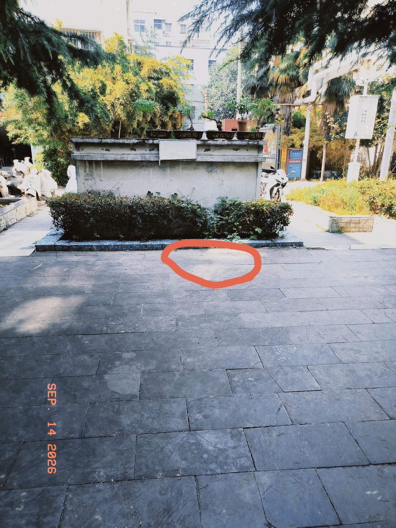 [彩虹]正能量传播者/梦想成真芬芳
 悬在城市上空的“利刃”
2026年9月14
