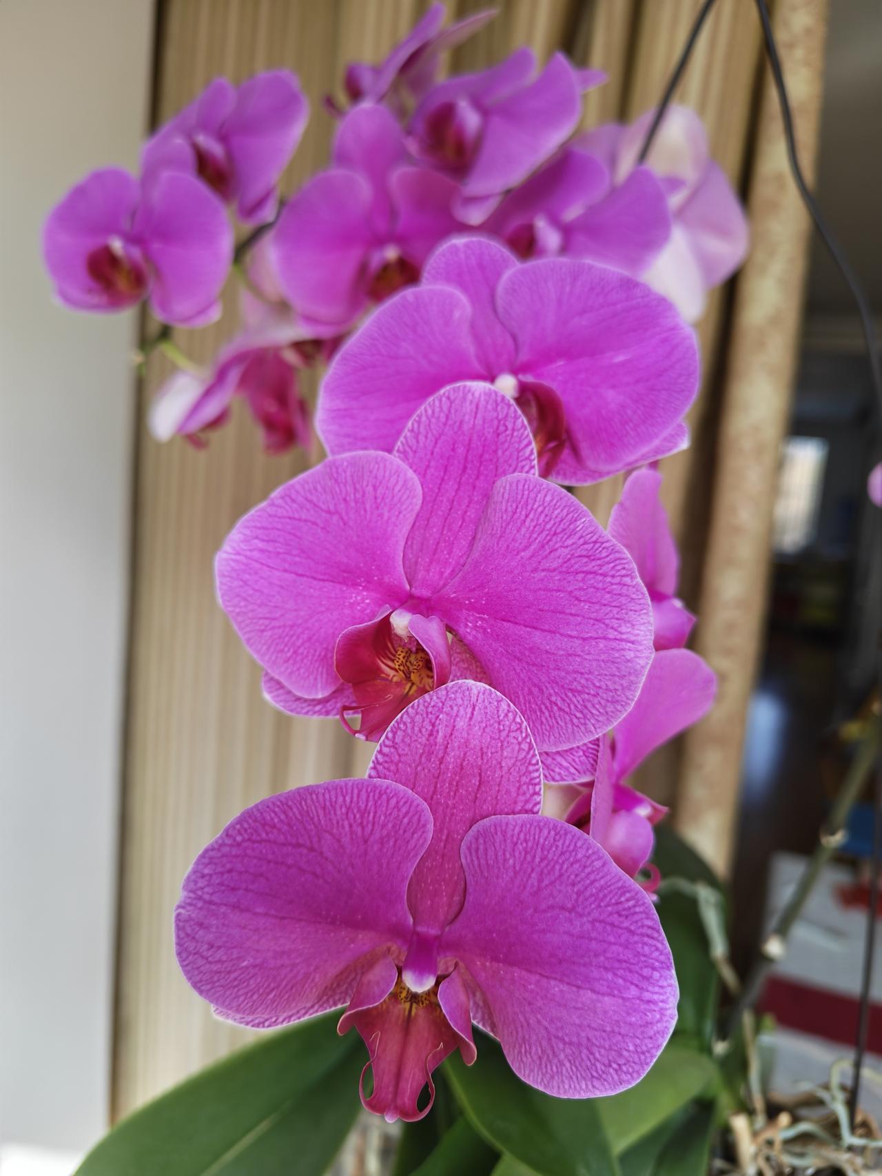 眼见着油价奔着两位数而去，那些仍然还开车上下班的都是些什么人呢？