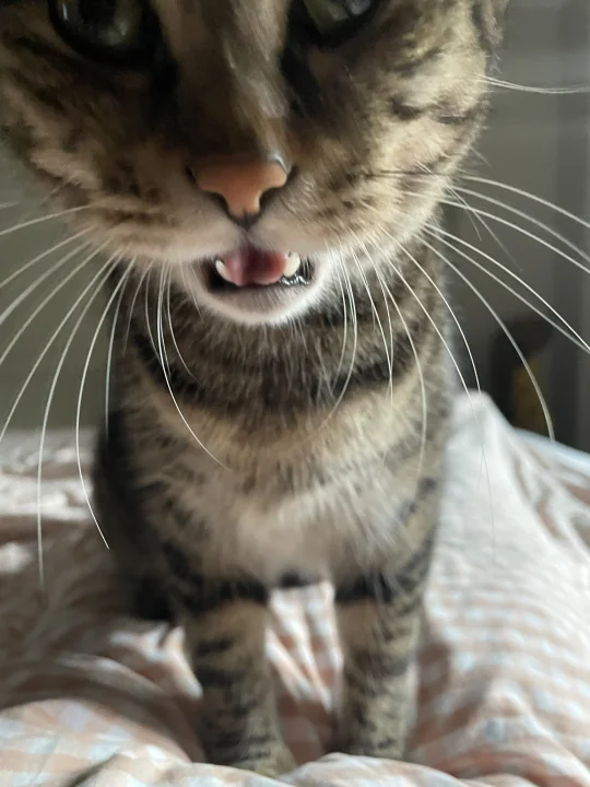 你醒啦