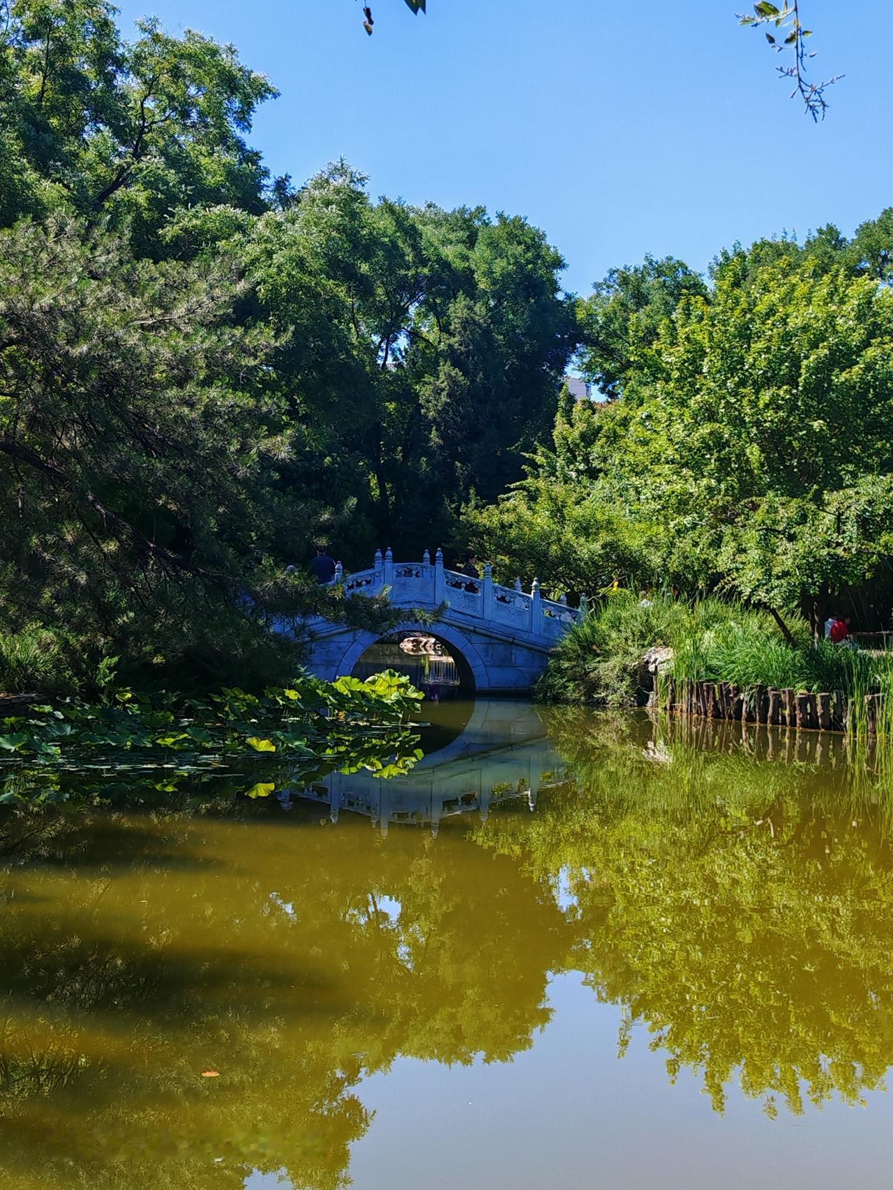 宣武艺园虽面积不大，却风景独好。它是清顺治时的京城第一胜地，也是国家3A级景区。