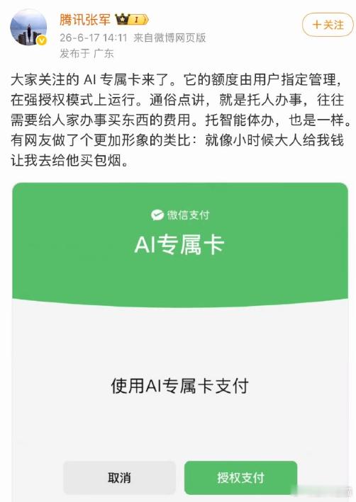 AI支付 钱袋子还是自己捂好吧，没必要啥都交给AI