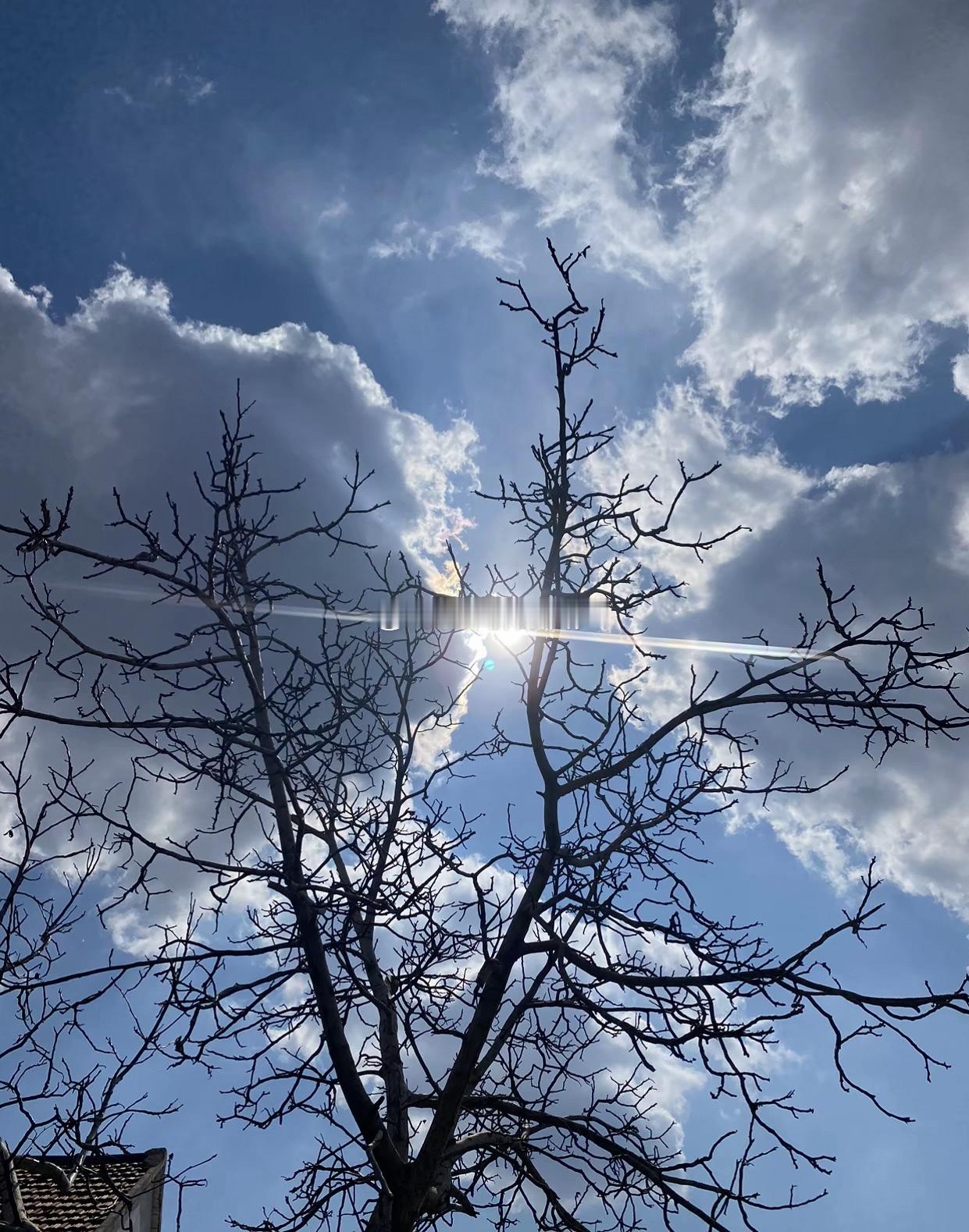 生活是一场不紧不慢的旅程，我们总在赶路，却忘了停下来看看身边的风景。慢慢走，总会
