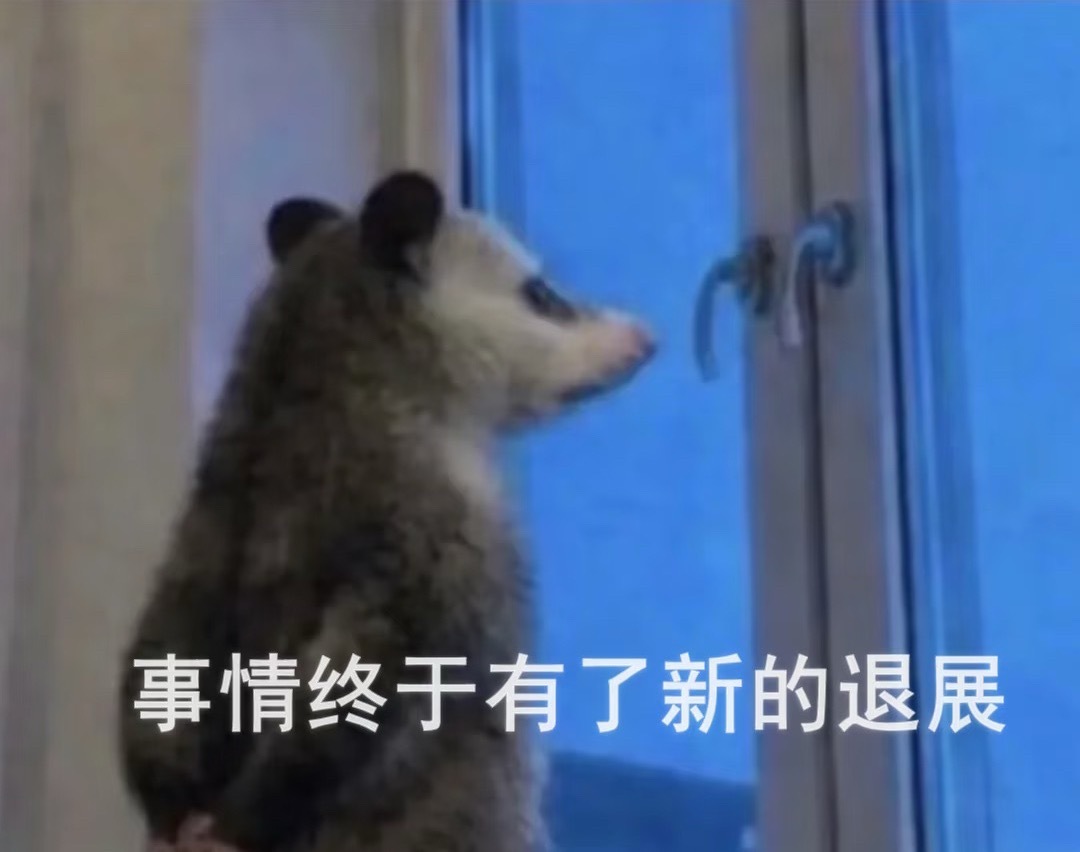 我上班出了什么问题 要是可以也这样随手甩锅大领导就好了 虽然方案是我做的但是领导