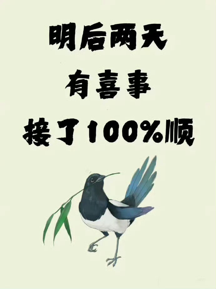 见喜鹊有喜事发生！秒接！运势