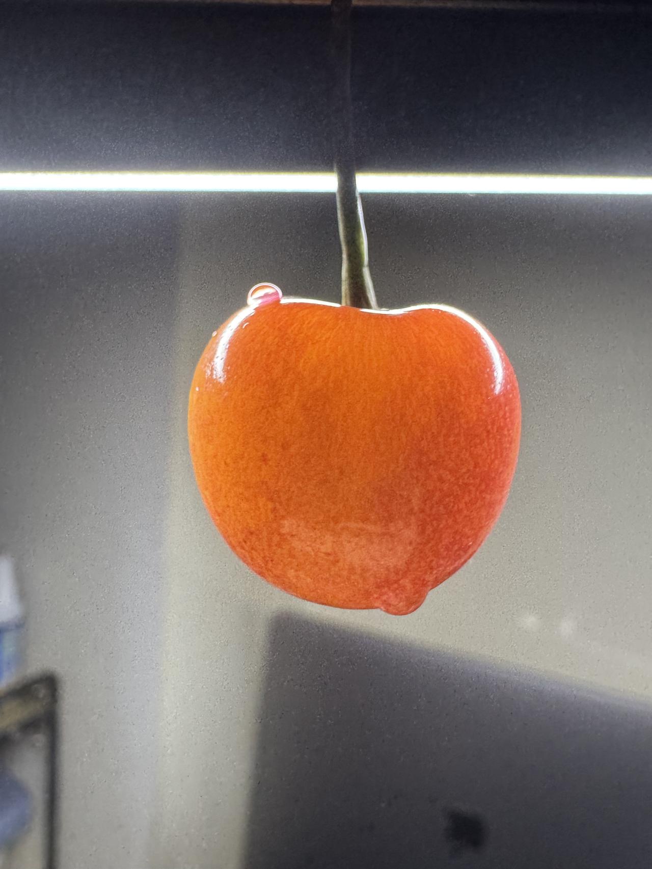 家里再小，也要坚持着 3 个习惯，越住越舒服
给所有喜欢把日子过好的朋友提个醒：