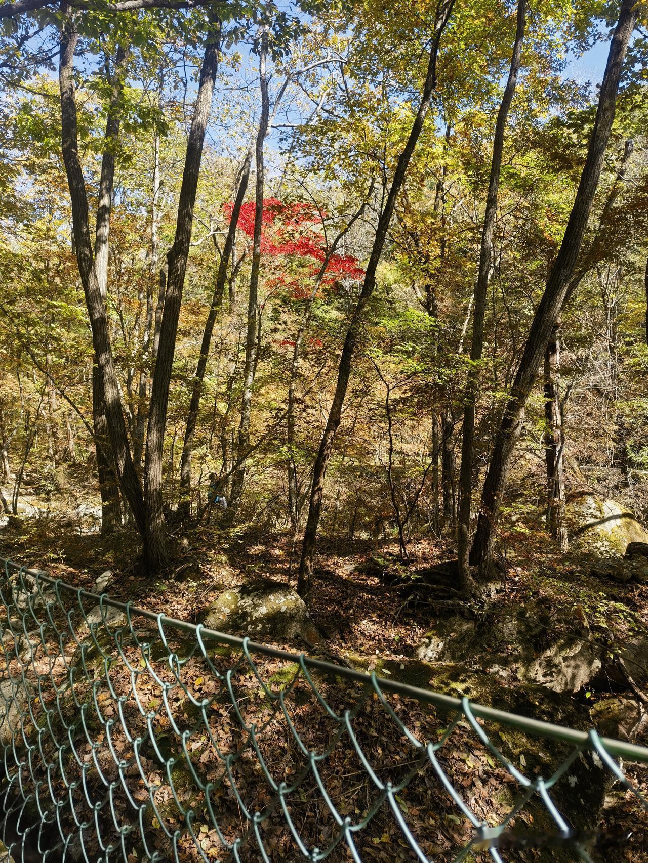 丹东宽甸天桥沟景区，风景确实非常好，就是有点距离太远了，游客也不算太多，空气非常