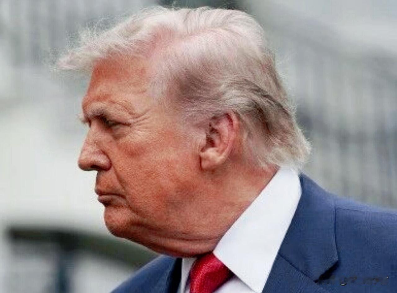 特朗普这回踢到铁板了——伊朗当场掀桌，他连狠话都不敢再说。

瑞士18小时拉锯谈