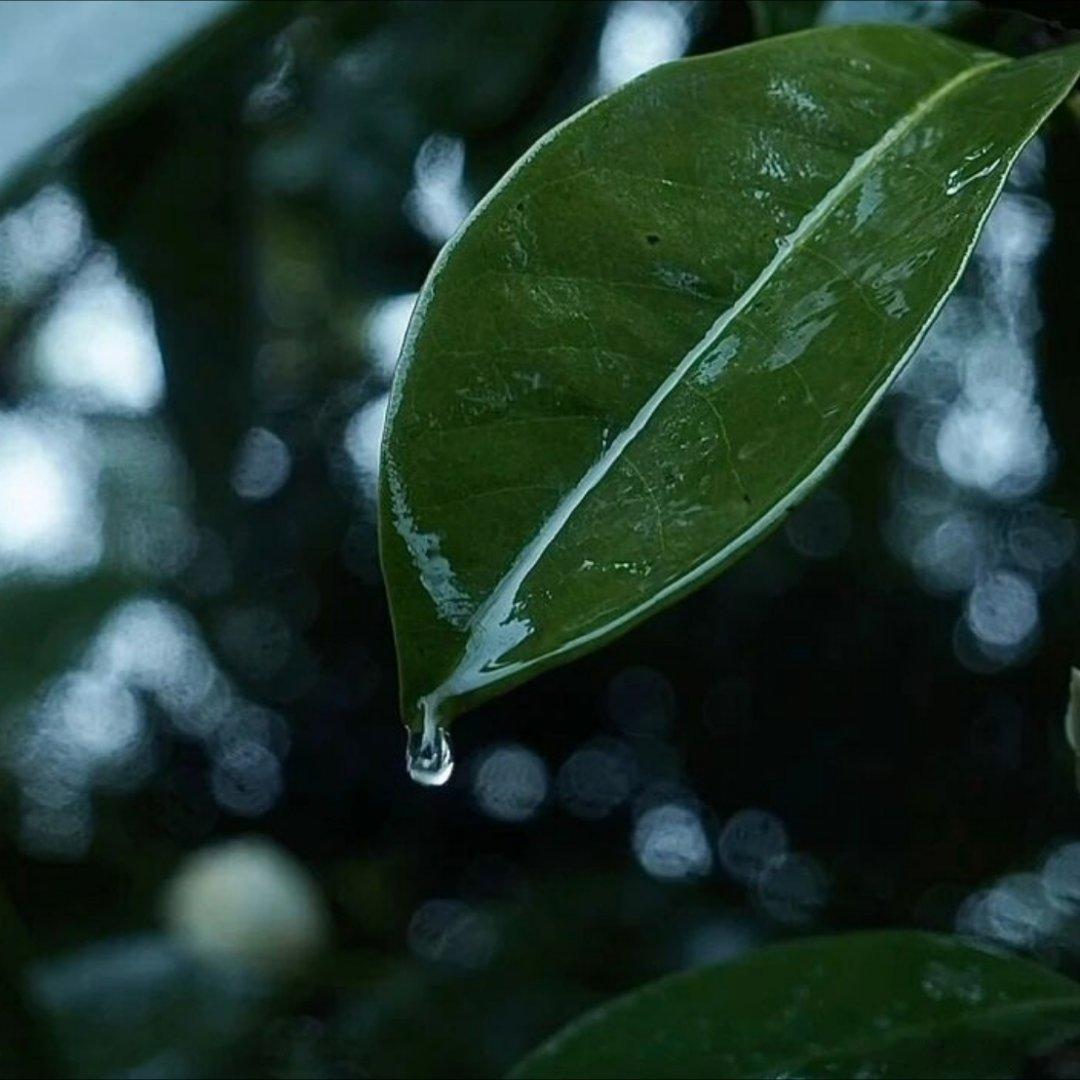 朋友圈壁纸／氛围感壁纸／ins风壁纸／高级感背景图／氛围感背景图／ins风背景图