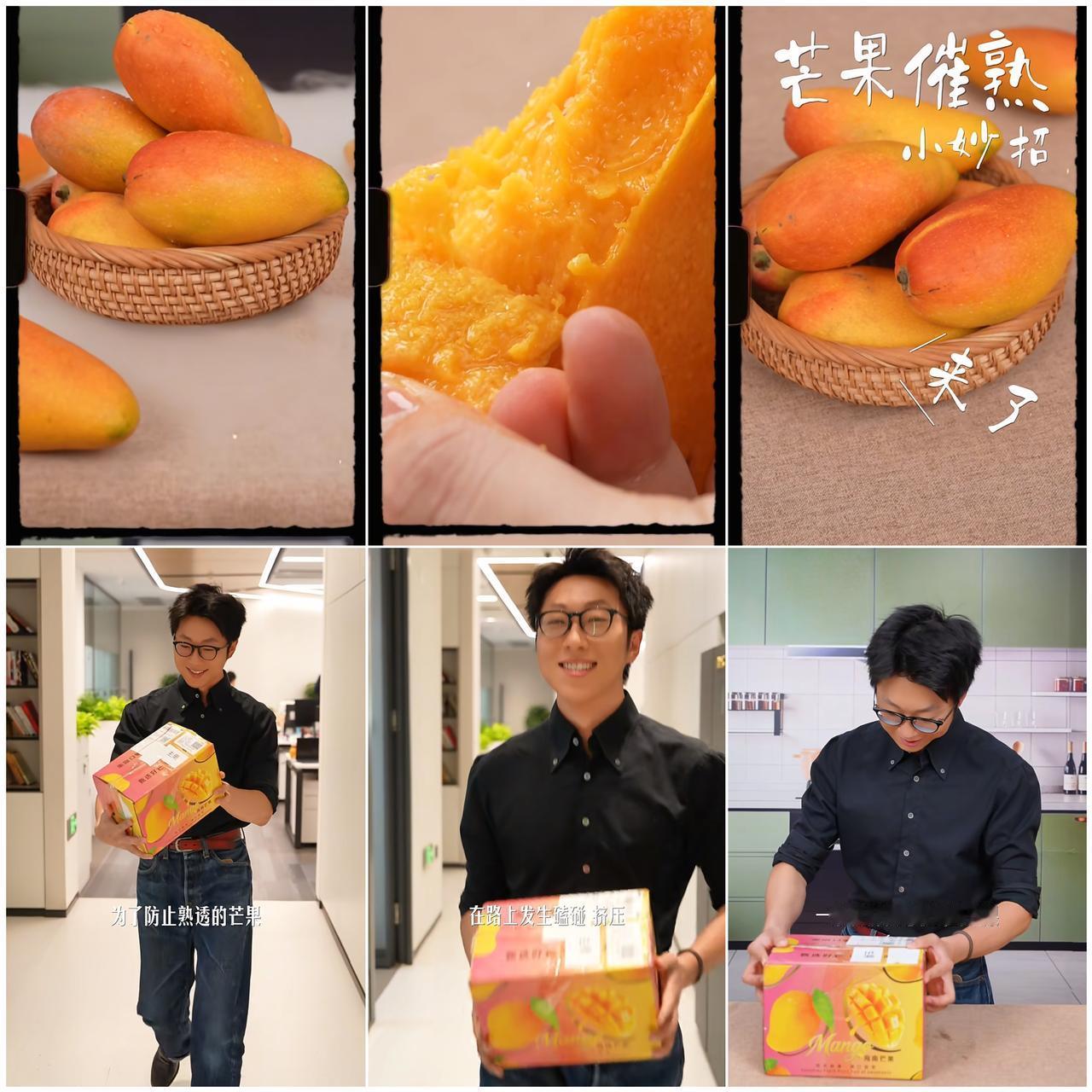 芒果🥭催熟小妙招