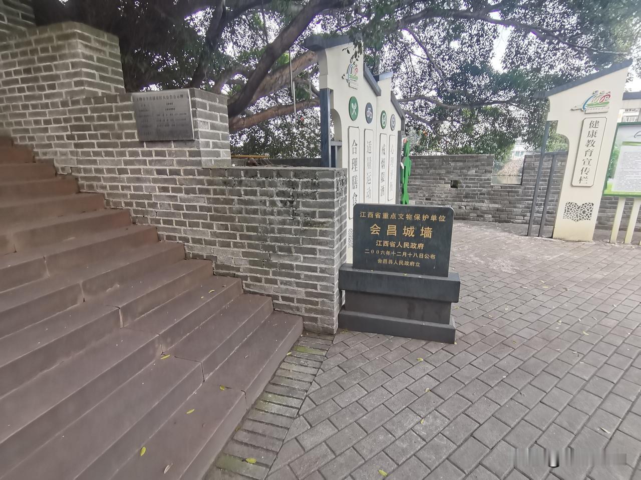 会昌城墙和步云桥紧密相连，城墙门洞边古榕树顽强的生长。