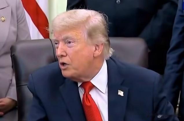 特朗普炮轰参议员麦康奈尔:“法官是我任命的，他凭什么白捡功劳？麦康奈尔就是个满肚