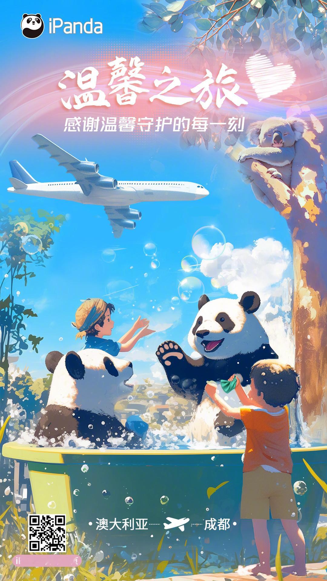 【 旅澳大熊猫网网福妮今日回国 [心]】11月15日，旅澳大熊猫“网网”“福妮”