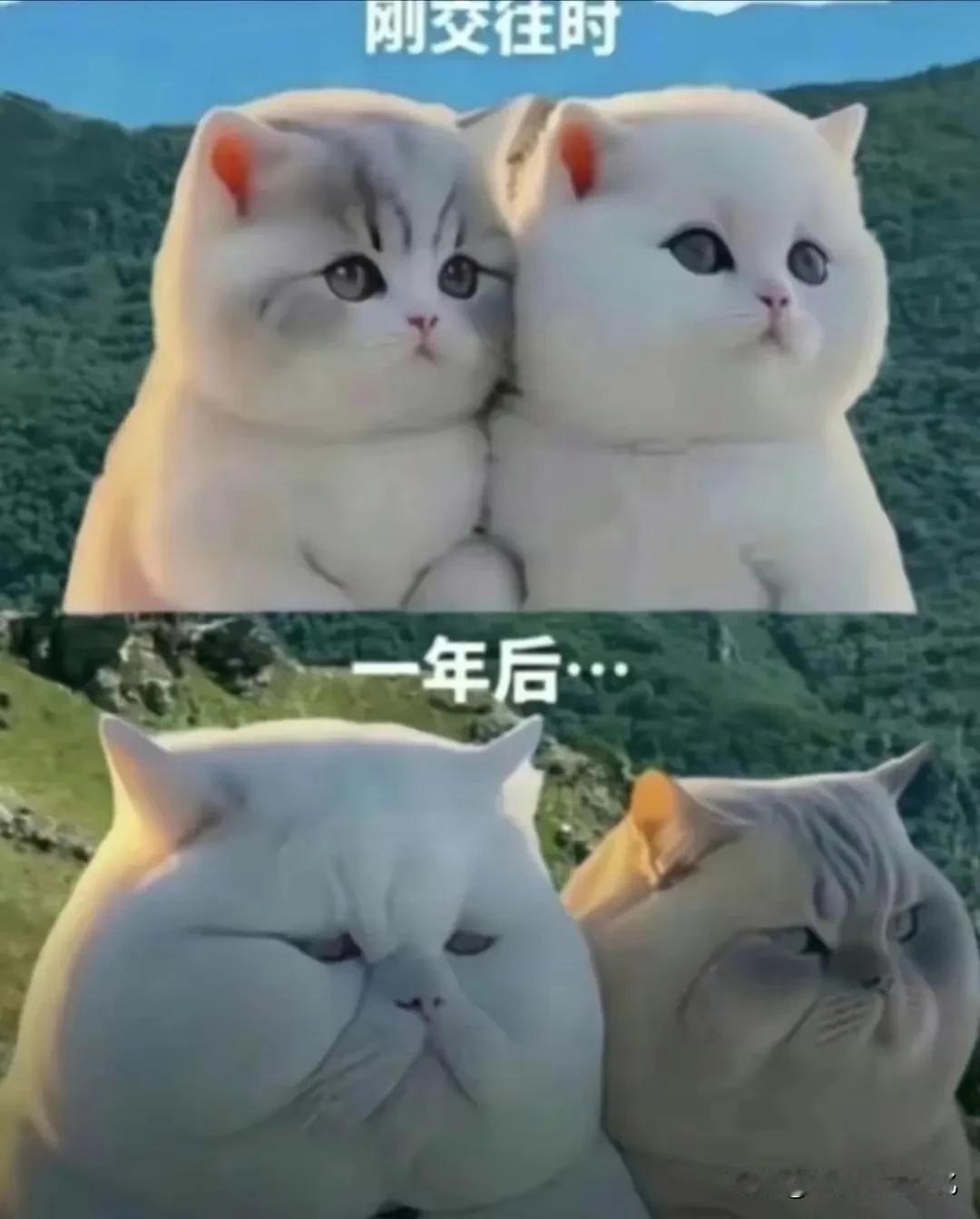 不带这么逼真的吧