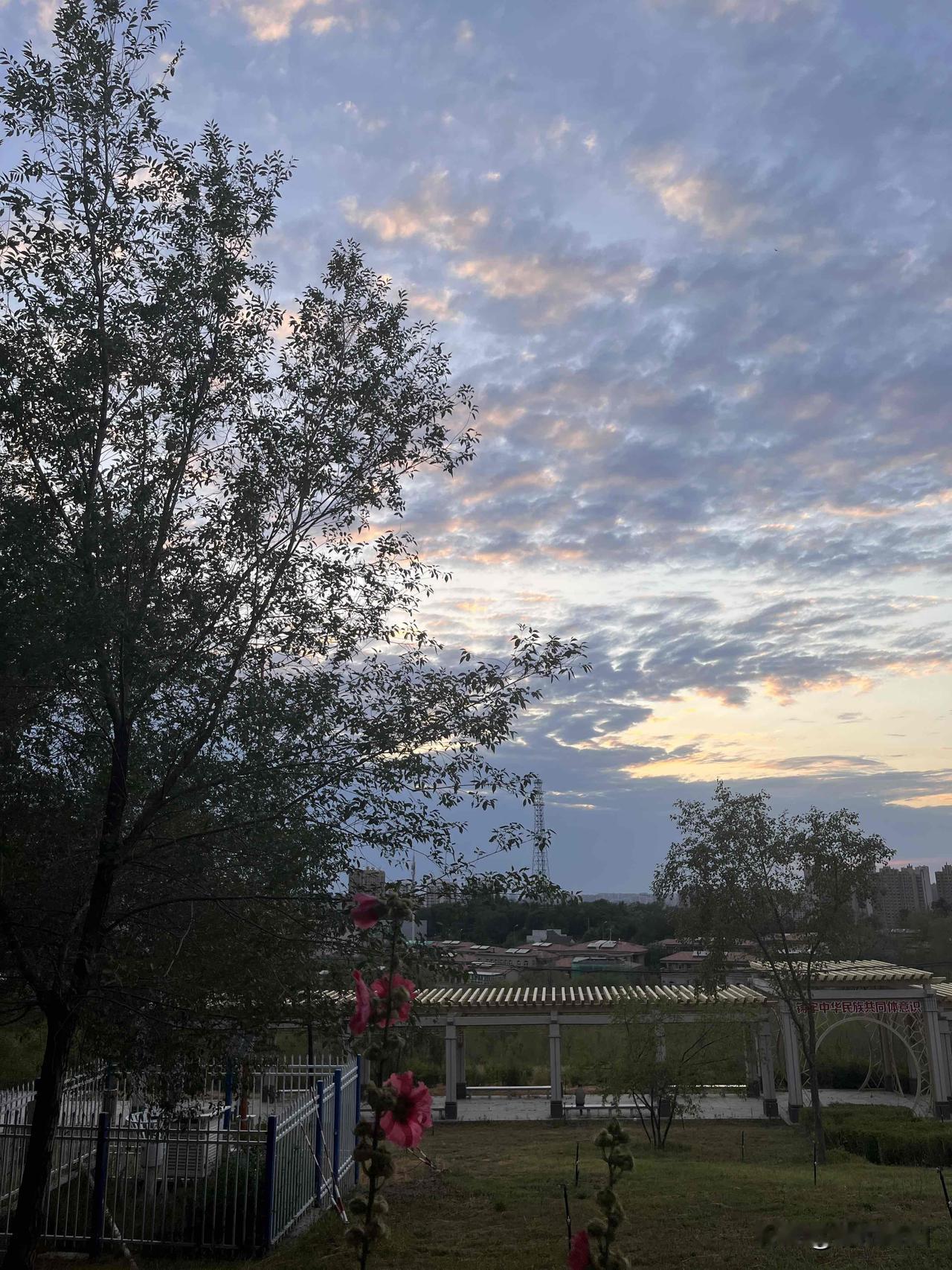 下雨的时候
总会感伤
月明的时候
总会想念

风随着云
飘飘荡荡
人随着时光
慢