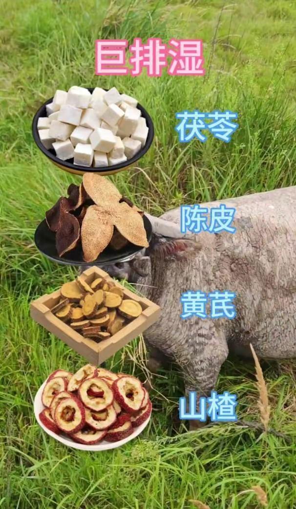CBA季后赛G2广东VS北京，徐杰抢下关键篮板，助攻张皓嘉3分加时绝杀北京！广东