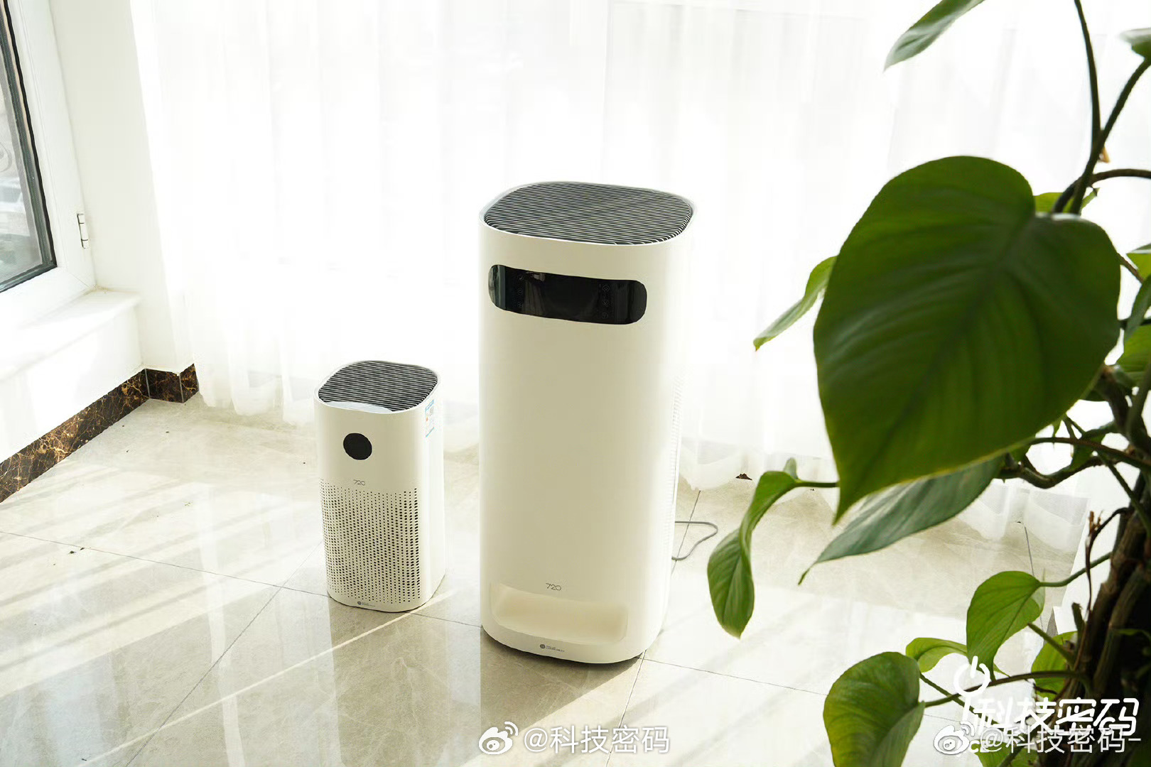 换季过敏如何选空气净化器春天很美，但对过敏星人来说，花粉、飞絮、尘螨简直是“会呼