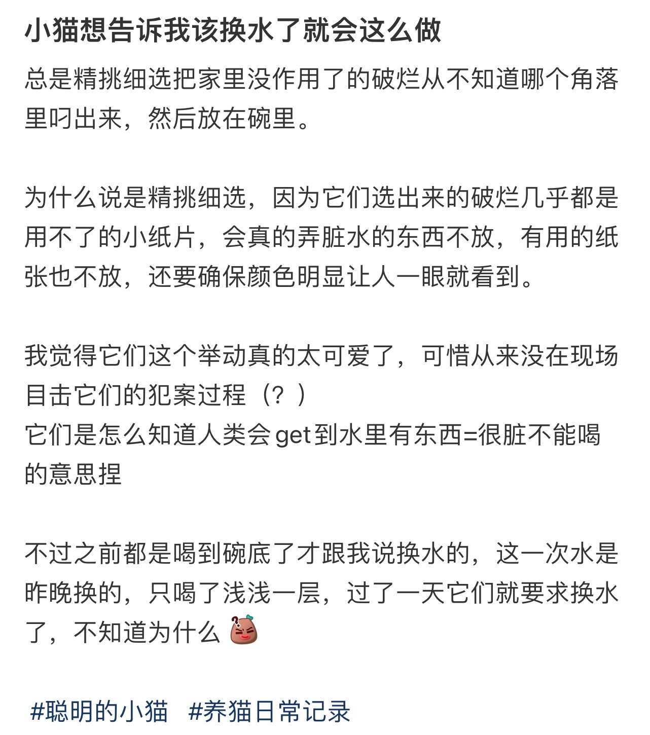 小猫想告诉我该换水了就会这么做 ！！！ 