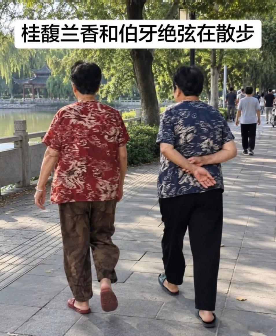 网友们真是太有才了…[赞][哈哈] ​​​