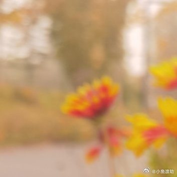 放下的那一刻最轻松你一直攥着一些东西不放——一段已逝的关系、一个过去的错误、一个
