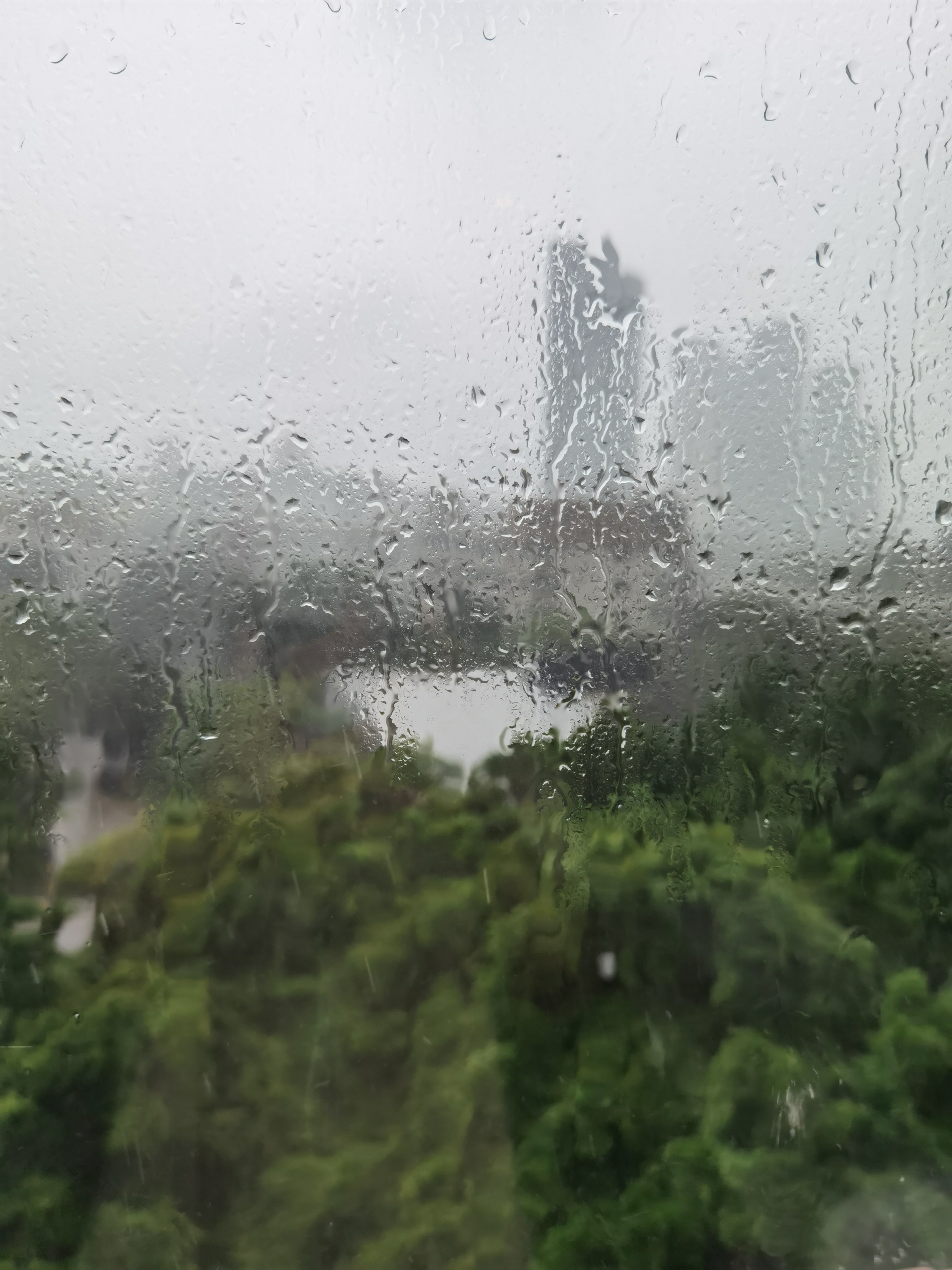 此刻的深圳…… 
