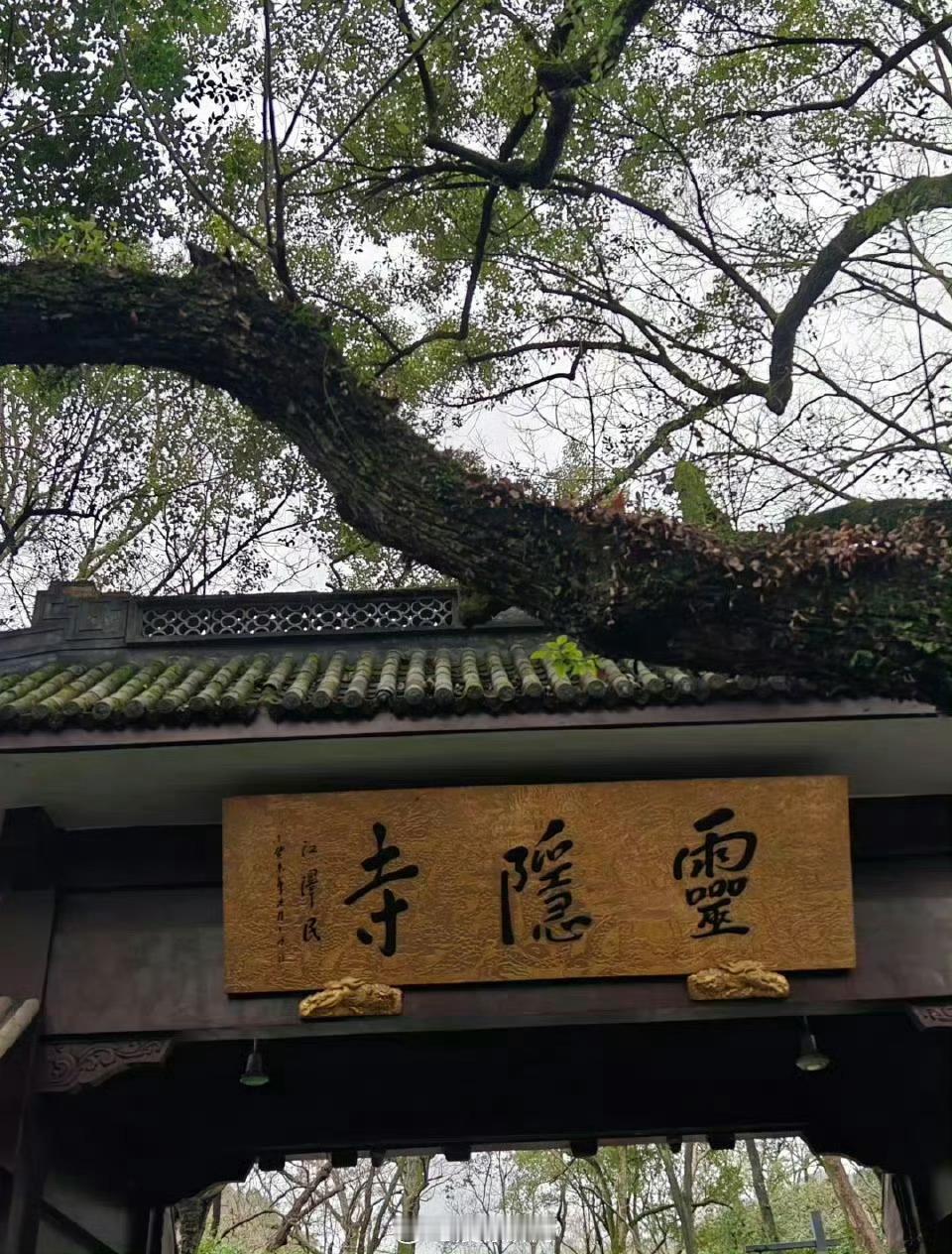 刷到灵隐寺不要划走🙏一方净土，三柱清香心诚则灵所求皆所愿所愿皆所得✨ 