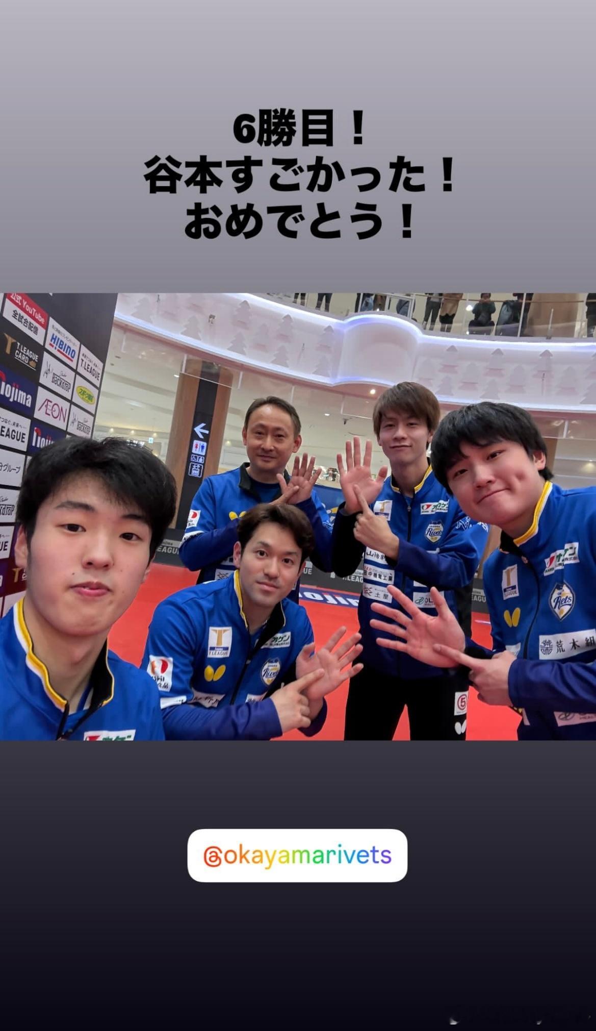 张本智和：第6场胜利！谷本太厉害了！恭喜！ 