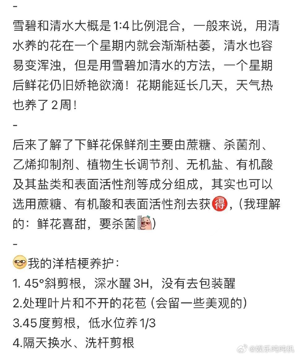 玫瑰花也爱喝汽水原来可以用糖水养鲜花 科学养花法大揭秘！糖水提供能量，碳酸营造微