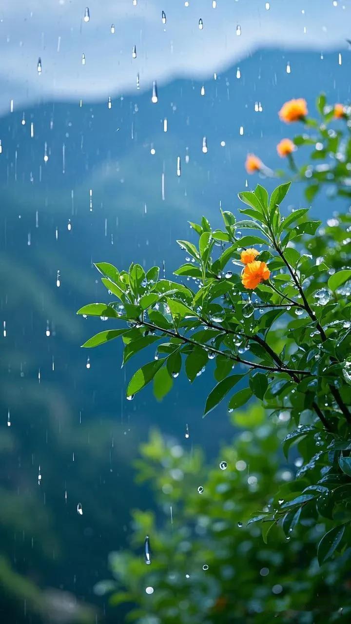 初春雨景

细雨如绸润绿芽，初春轻拂漫天涯。

云烟袅袅缠山峦，水珠剔透缀芳华。