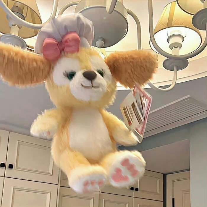 ♡ ₊✧˚﹕︶︶︶﹕૮₍ ⸝⸝´ ꒳ `⸝⸝ ₎ა﹕︶︶︶﹕ ˚✧₊      