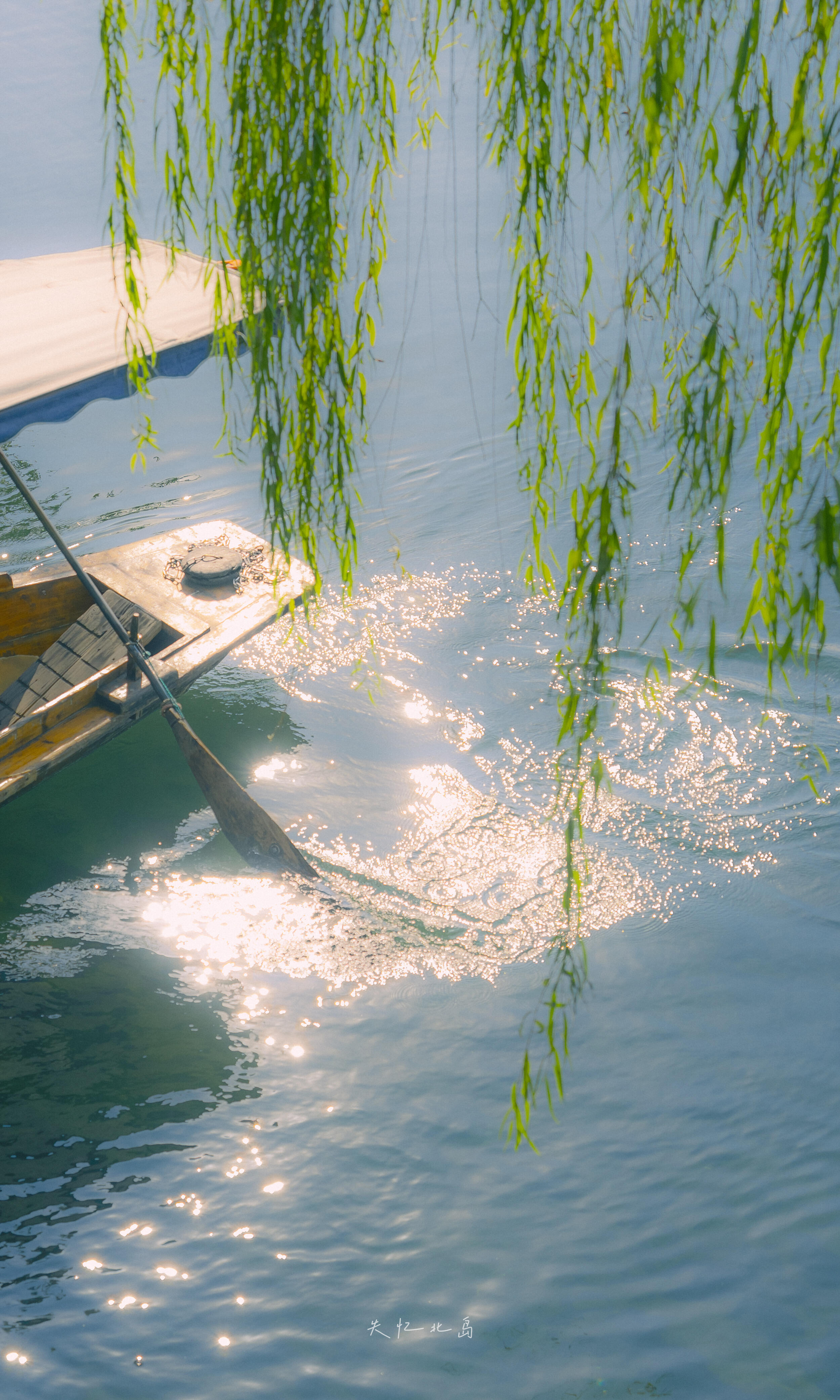 以前看小说vs现在看小说以前看小说是"一生只够爱一个人"的深耕，现在看小说是"三