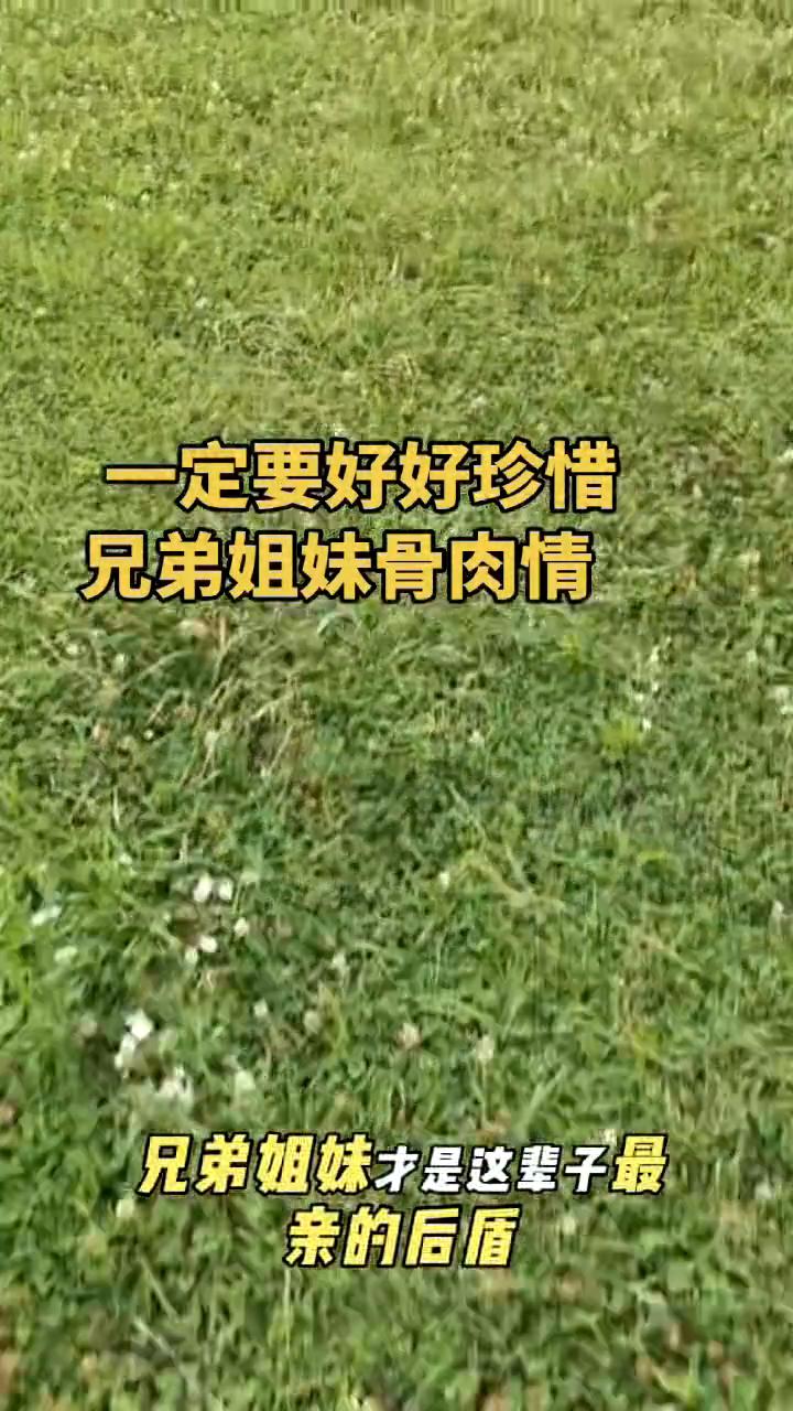 一定要好好珍惜兄弟姐妹骨肉情。
兄弟姐妹才是这辈子最亲的后盾，无论到什么时候，你