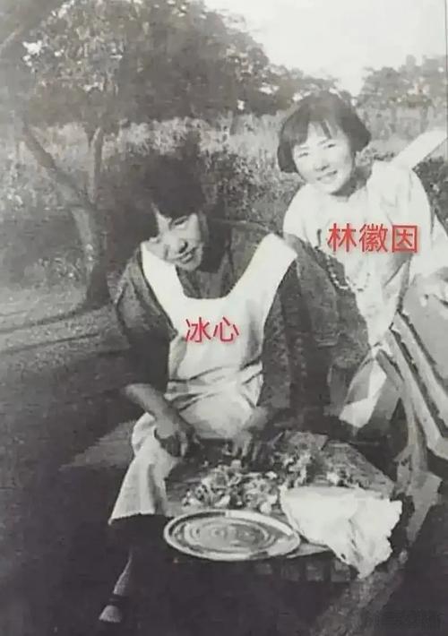 冰心与林徽因，曾是文坛两轮交相映照的明月。两人的丈夫吴文藻与梁思成是清华的同窗，