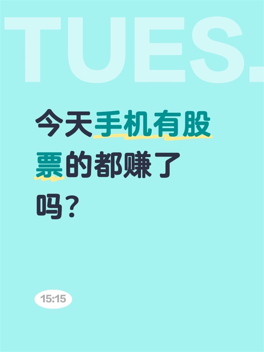 今天手机有股票的都赚了吗？