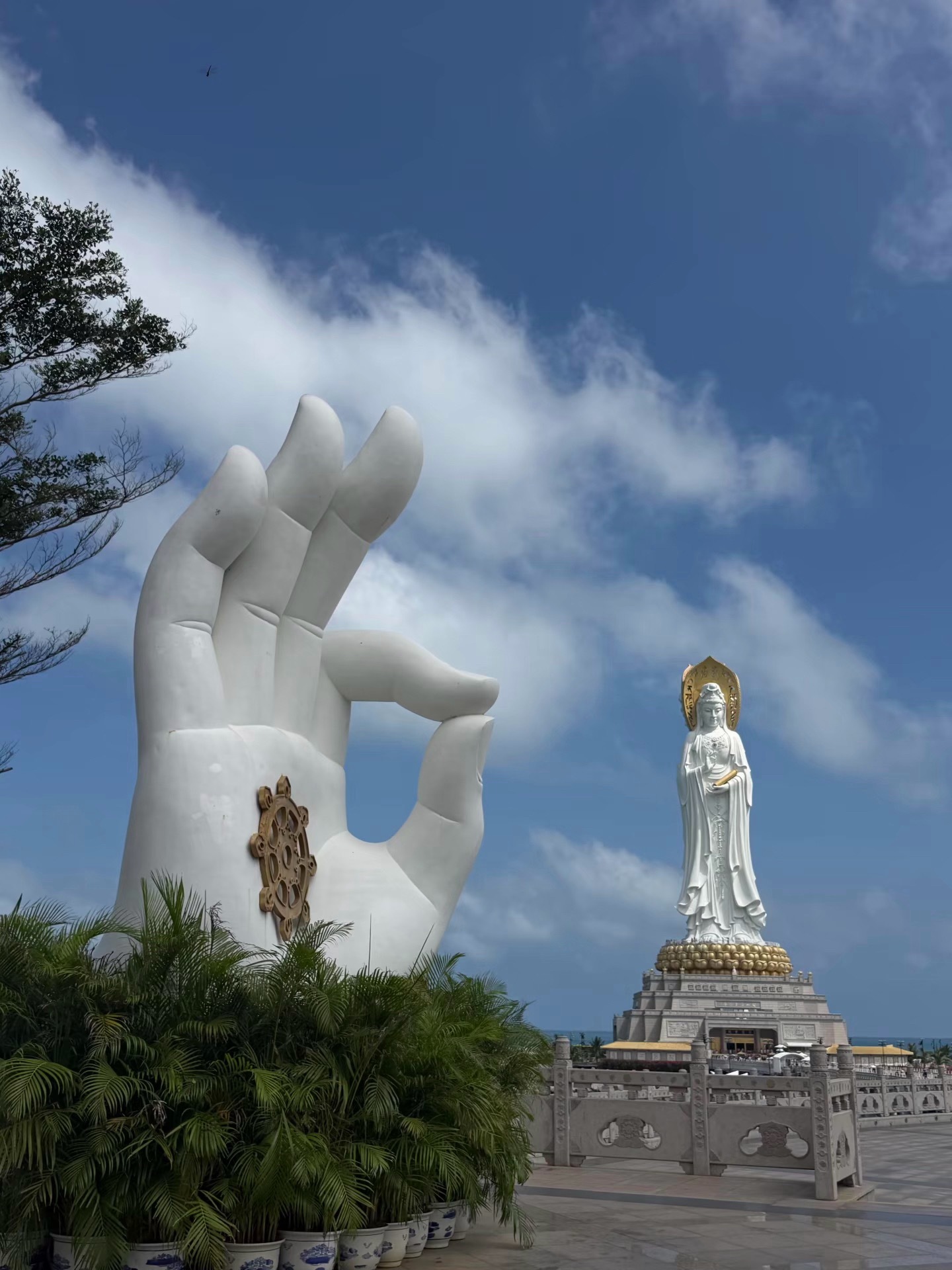 许个愿吧🙏心诚则灵 