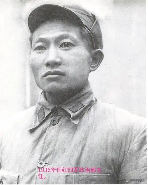 先辈丛书《风雨征程》已由中共党史出版社出版。
《风雨征程》生动展现了开国中将刘志