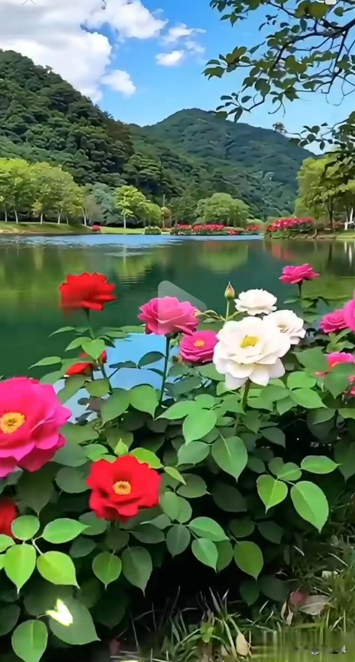 上联：送走冰天雪地，
下联：迎来春暖花开。
(解析：“送走”对“迎来”，“冰天雪