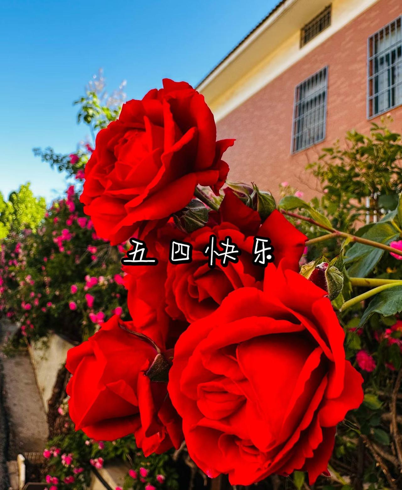 五四快乐