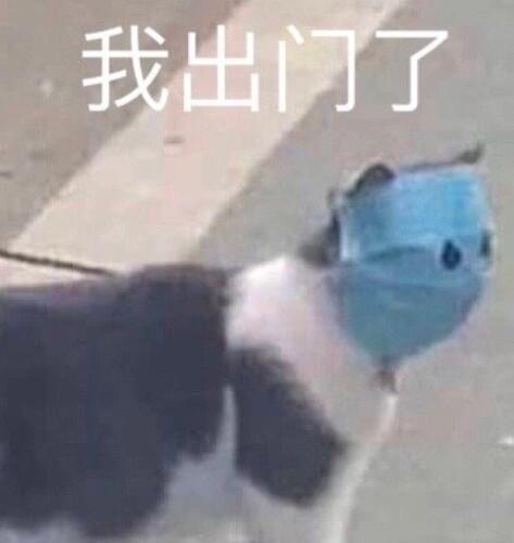 日本八成地区达流感流行警报级别真是个有毒的地方😷 最近流感都很严重，大家注意防