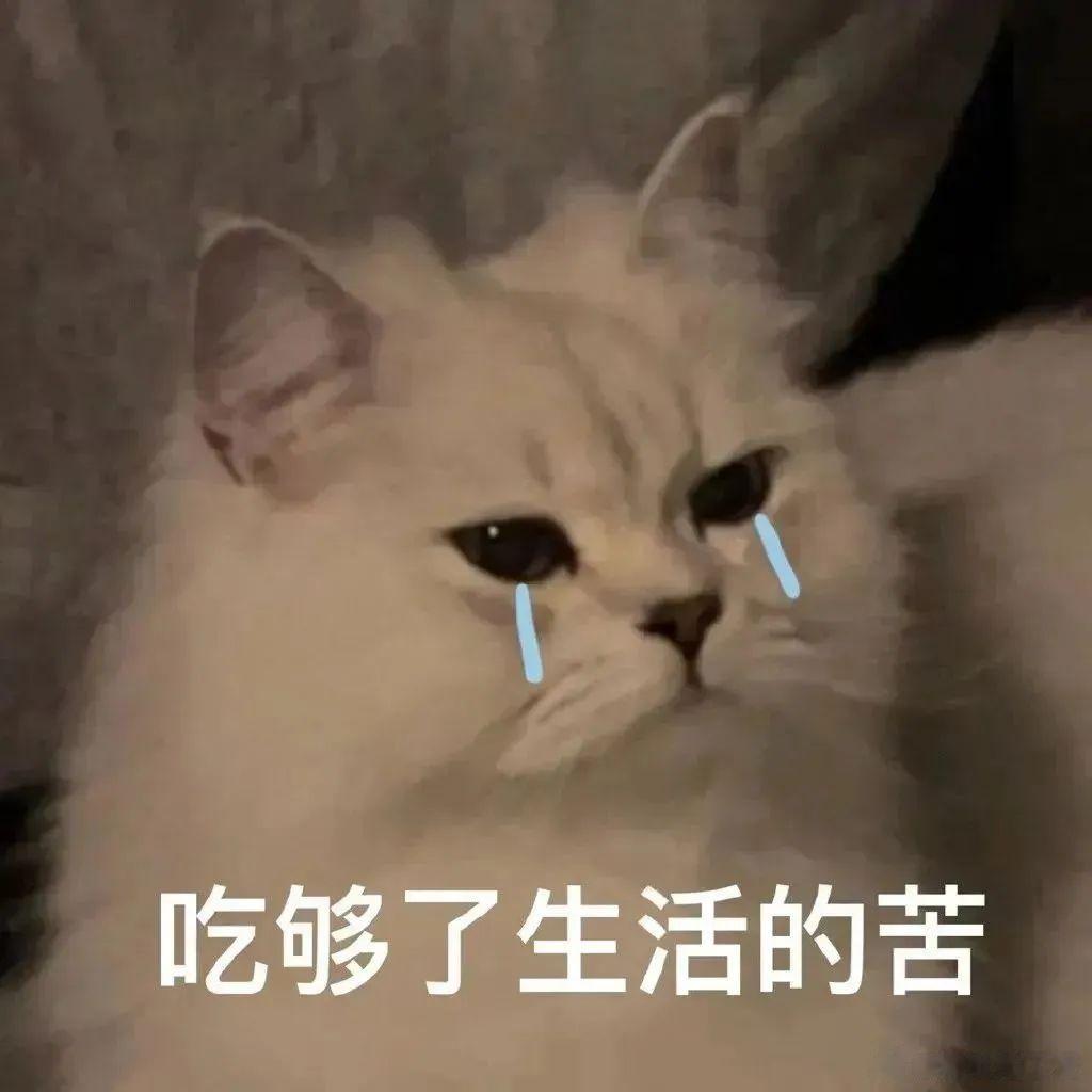 学习的苦你一滴不沾，生活的苦你拼命的咽。 #镜头里的欢乐瞬间# ​​​