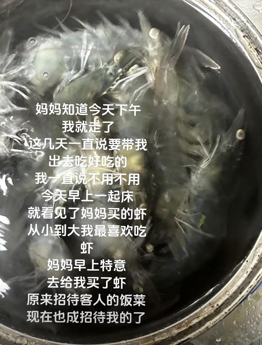 “分离这门课，我及格不了。” 