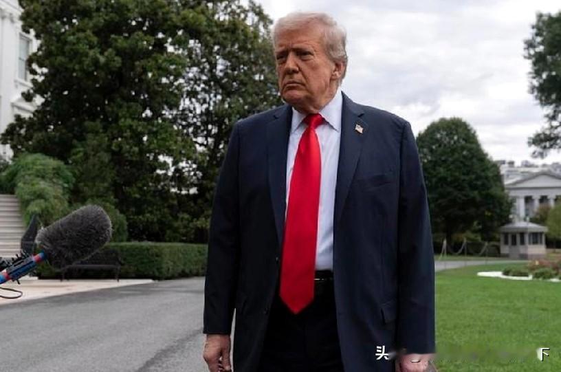 美伊冲突40天后，在巴基斯坦斡旋下突然停火两周，10日将在伊斯兰堡谈判。停火消息