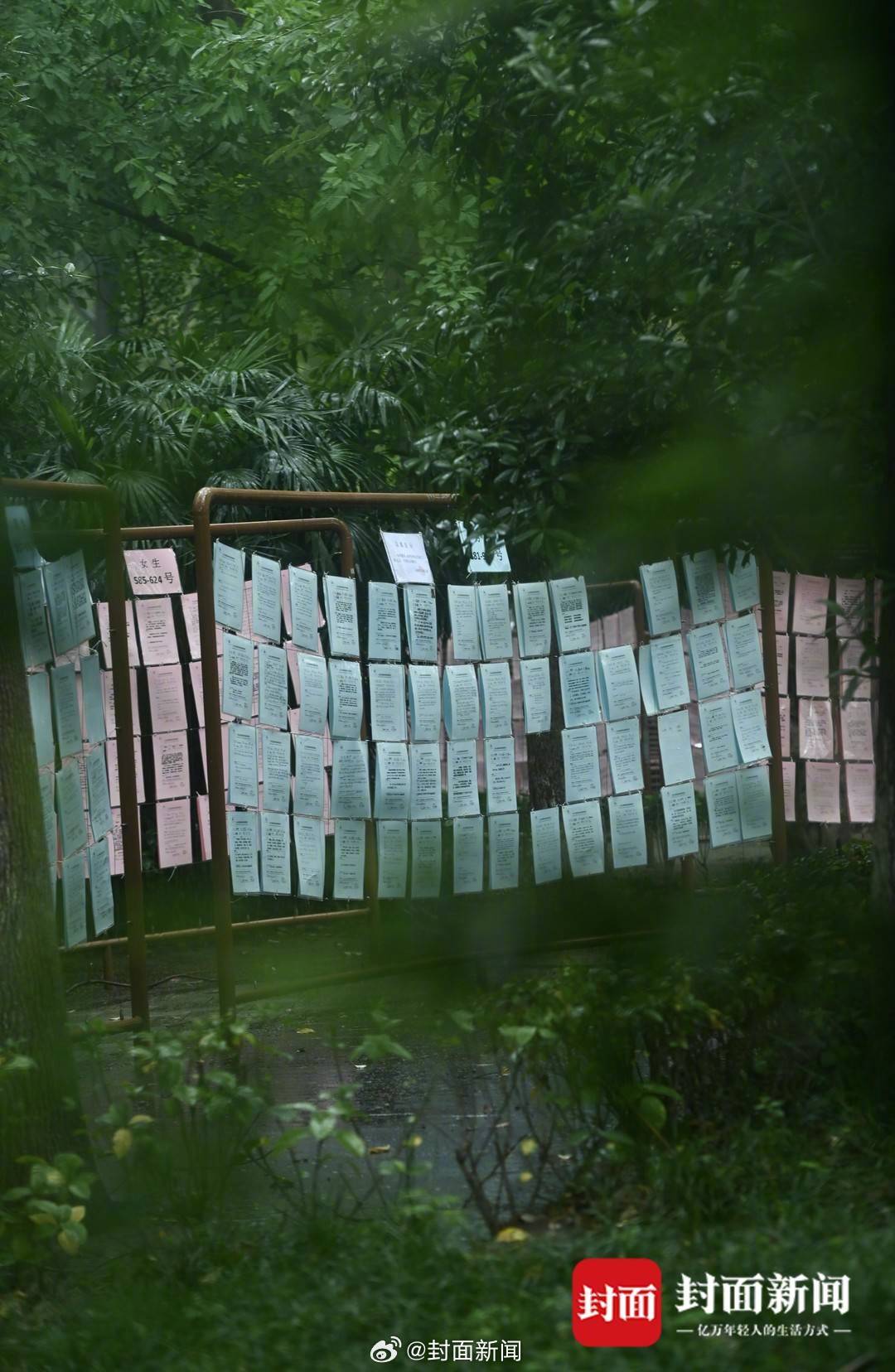 【“蹲一个阳光开朗宝藏男孩”！#成都人连相亲角都拉满松弛感#】#年轻人相亲硬性条