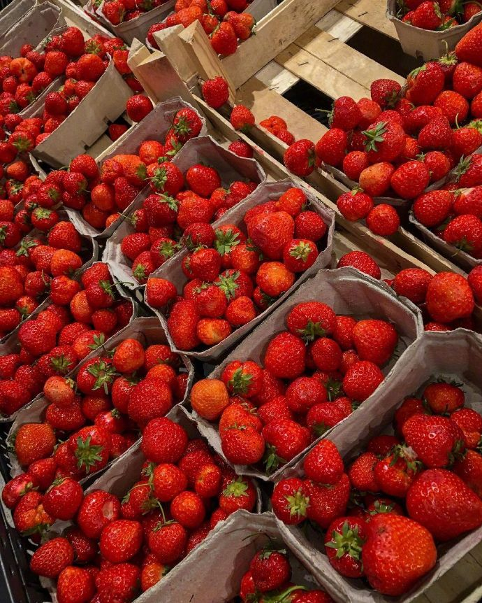 草莓控🍓  