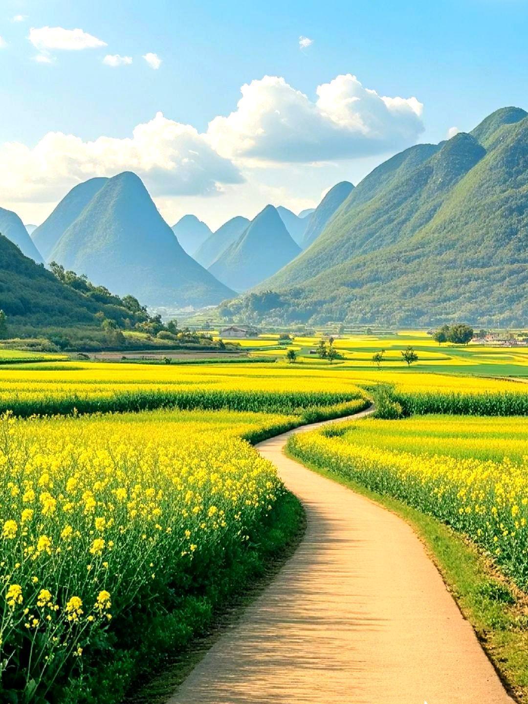 身为一个海边人，昨天去钓鱼，看到水波纹居然会头晕。风吹动水面，水流来回震荡，上巽