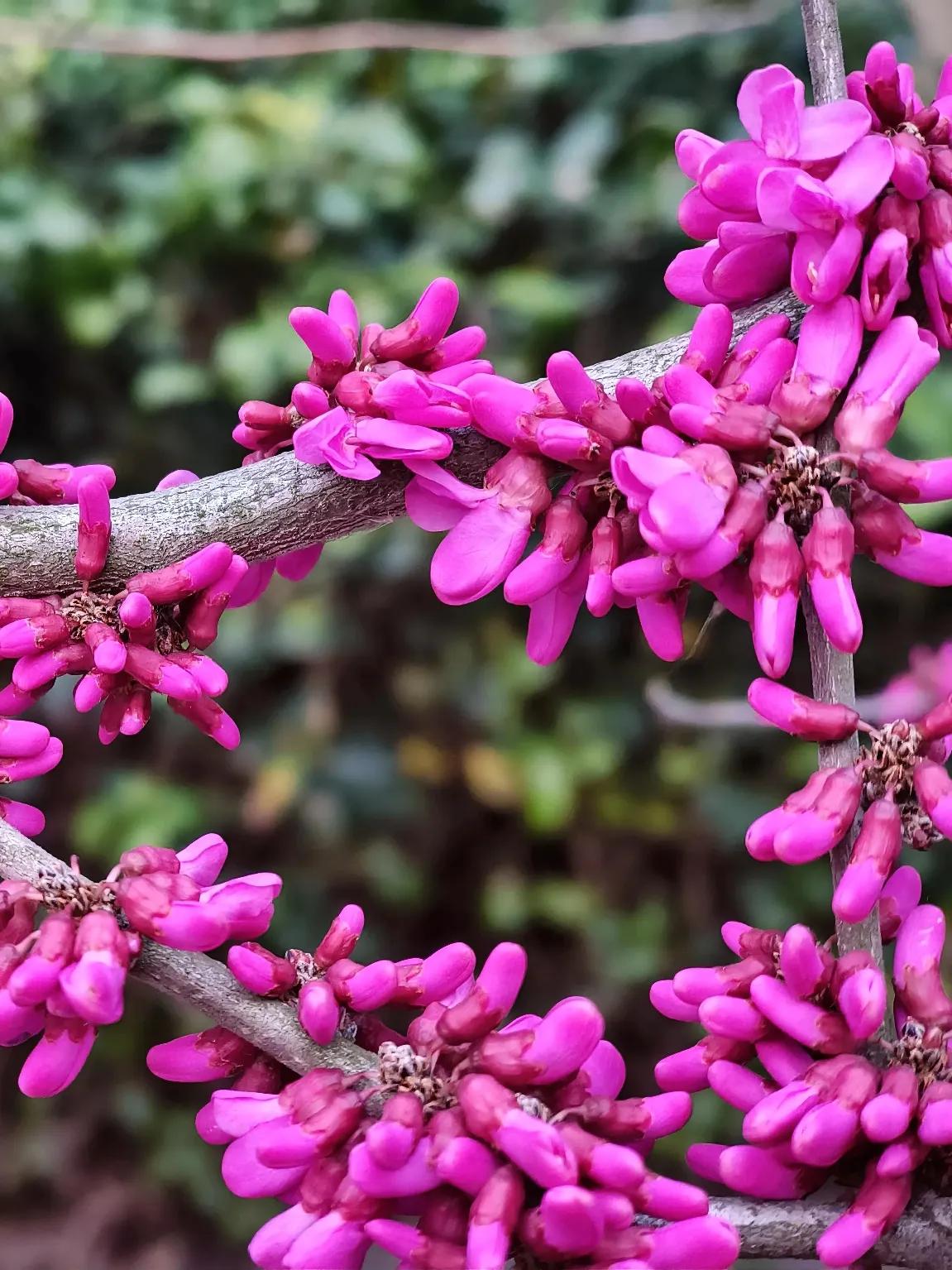 3月19日，公司总部到本项目进行检查。检查期间，领导发现有员工未按规定时间下班。
