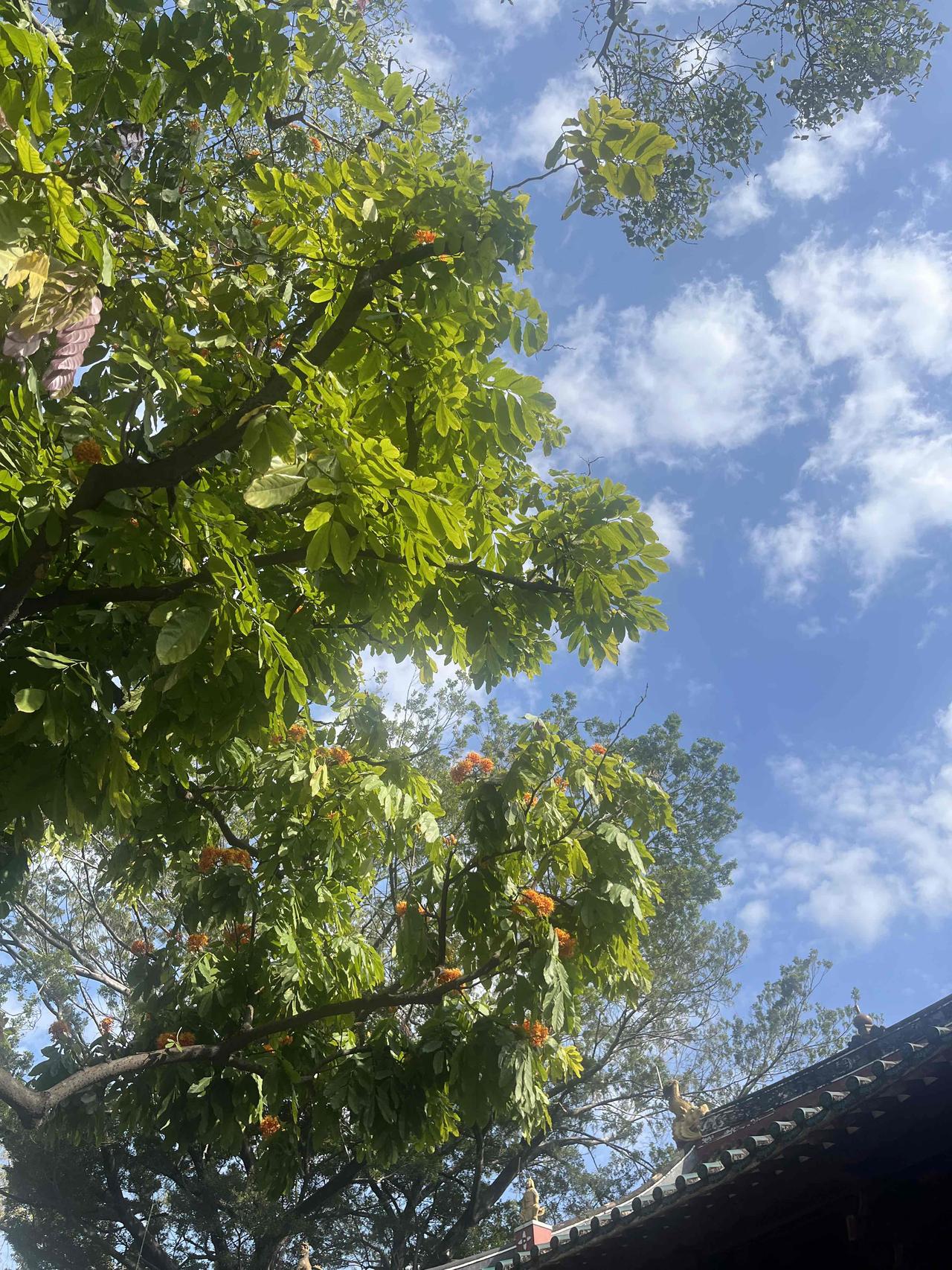 广州今年的天气好像没有春天，过完春节直接就进入了夏天的节奏。
路上的行人也开始了