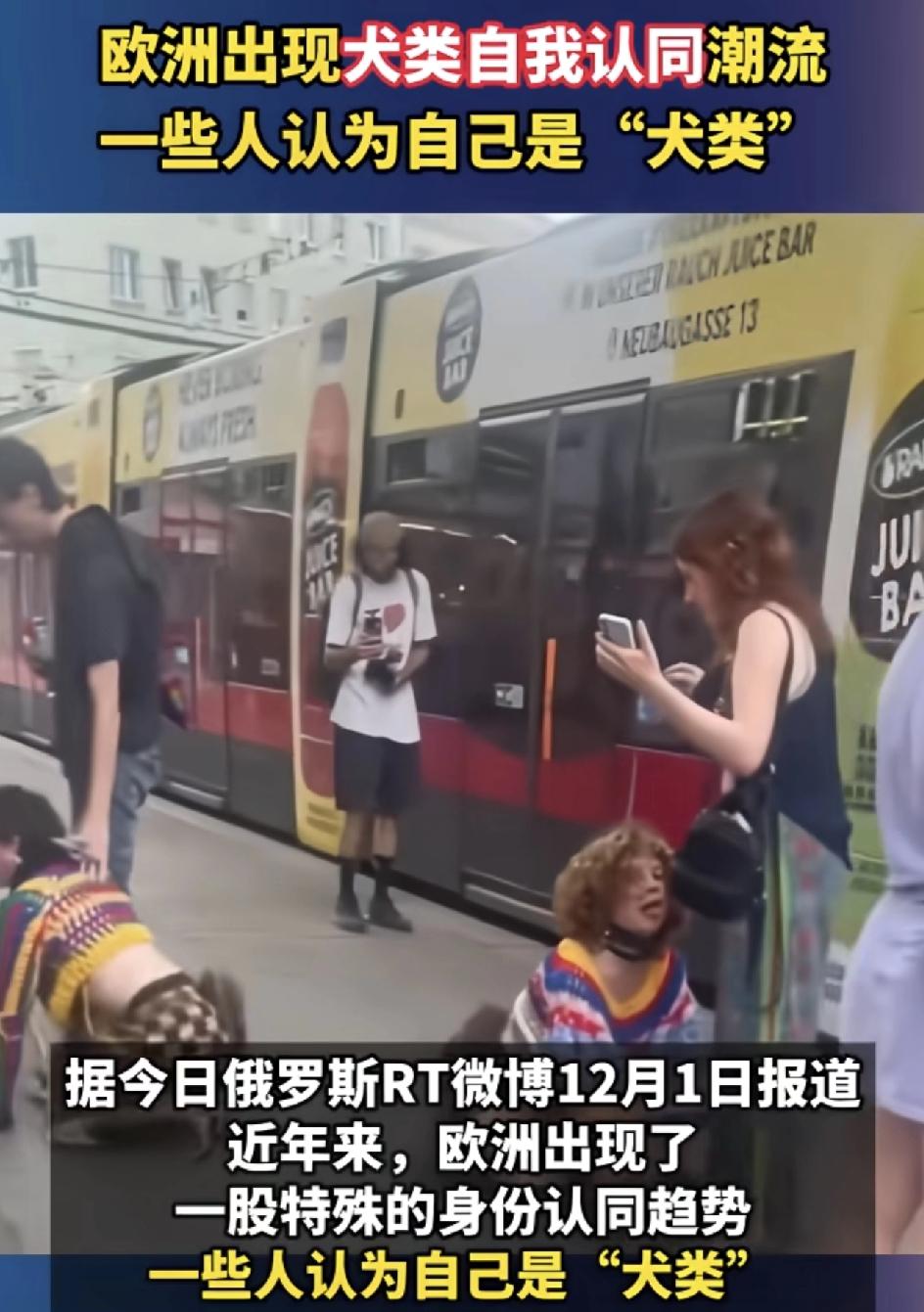 活久见！简直刷新我的三观！欧洲兴起犬类自我认同潮流，上千人趴地学狗还办大赛？
