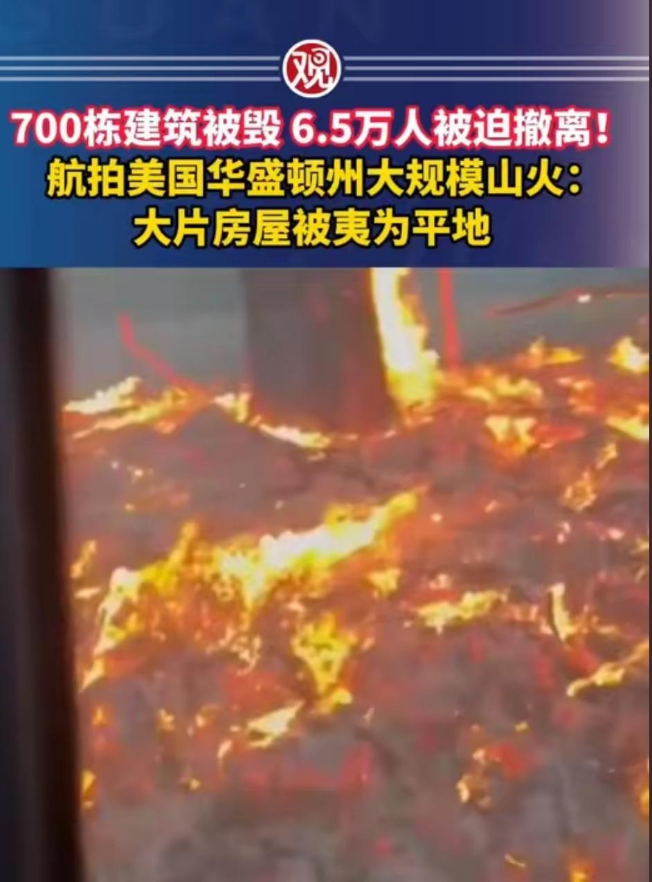 700栋建筑被毁6.5万人被迫撤离，