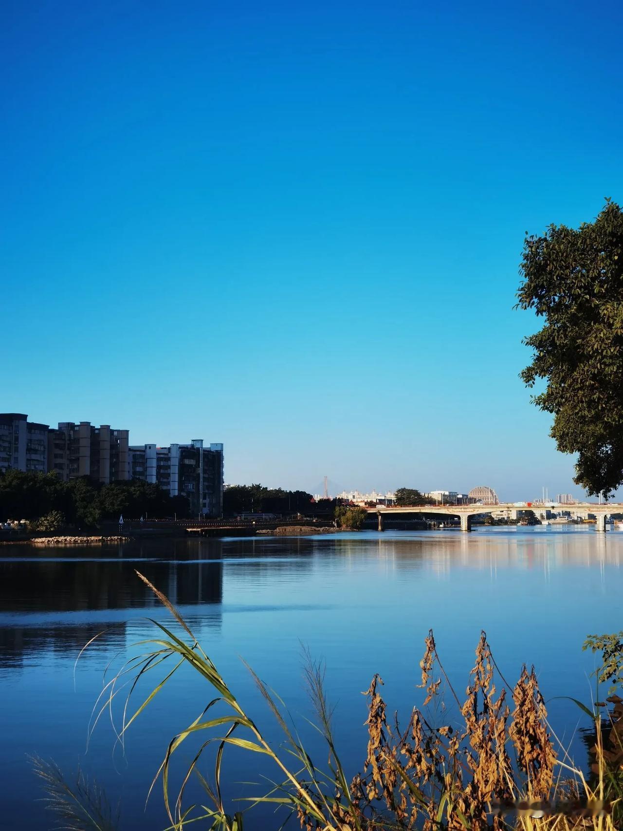随手拍张照广州的暖冬，万里无云，这天空超治愈！上班路上感受一下，心情也会舒畅许多